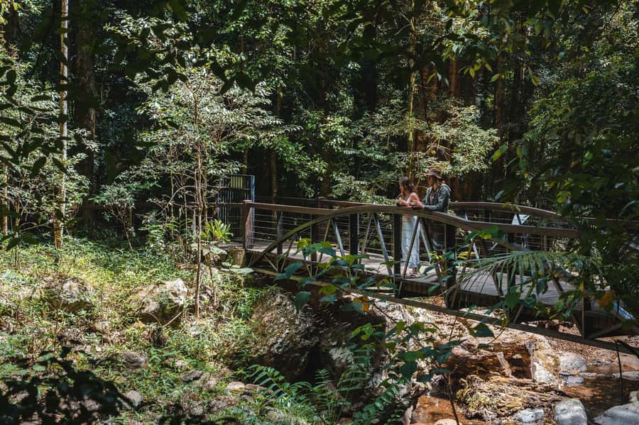 Brisbane: Rainforests, Waterfalls and Glow Worm Cave Tour - Hang Glider Lookout gives you the big view