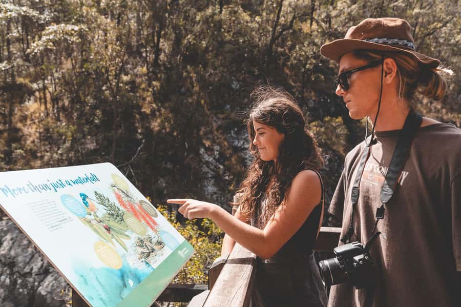 Brisbane: Rainforests, Waterfalls and Glow Worm Cave Tour - Cedar Creek Glow Worm Caves are the unusual centerpiece
