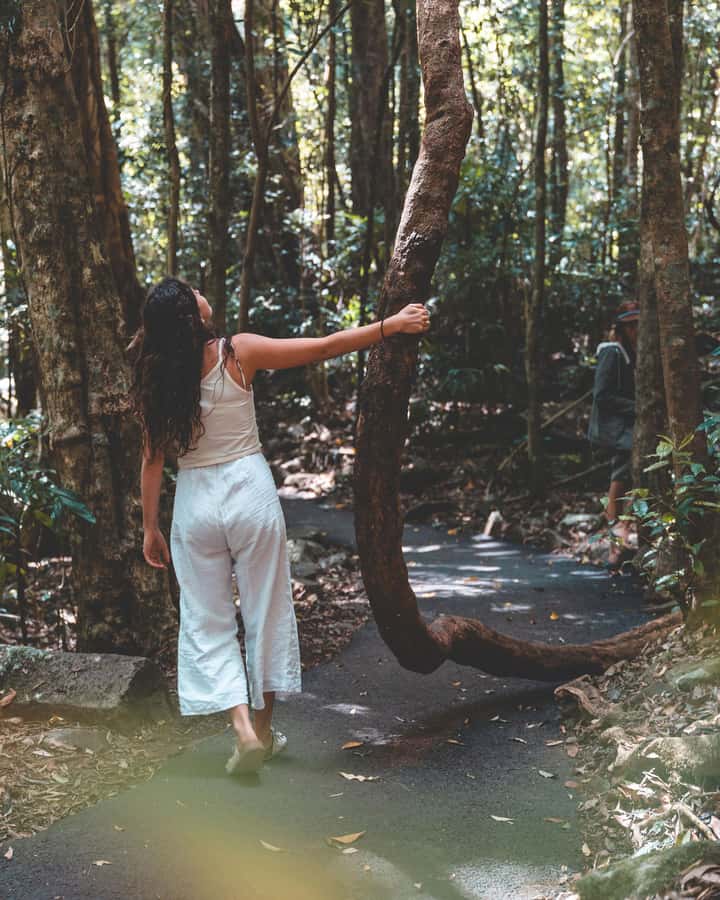 Brisbane: Rainforests, Waterfalls and Glow Worm Cave Tour - Gallery Walk is your lunch and browsing break