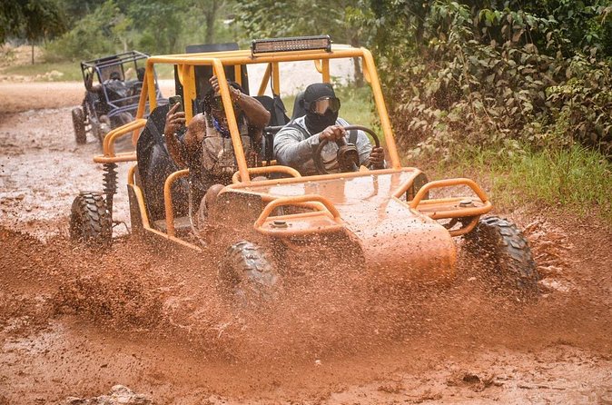 Buggy Excursion to Macau Beach and Natural Cave - Stop one: Dominican farm and local products