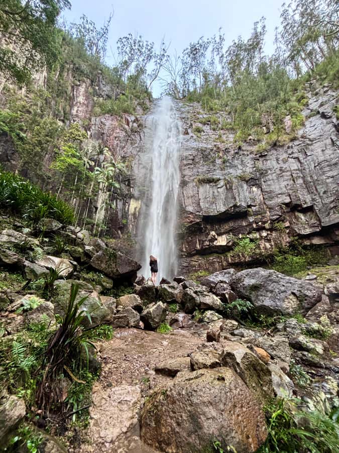 Byron Bay: Glowworms, Waterfalls & Rainforest Experience - The drive from Byron to Nightcap National Park