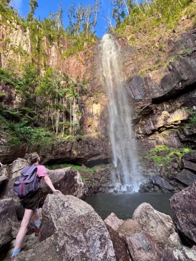 Byron Bay: Glowworms, Waterfalls & Rainforest Experience