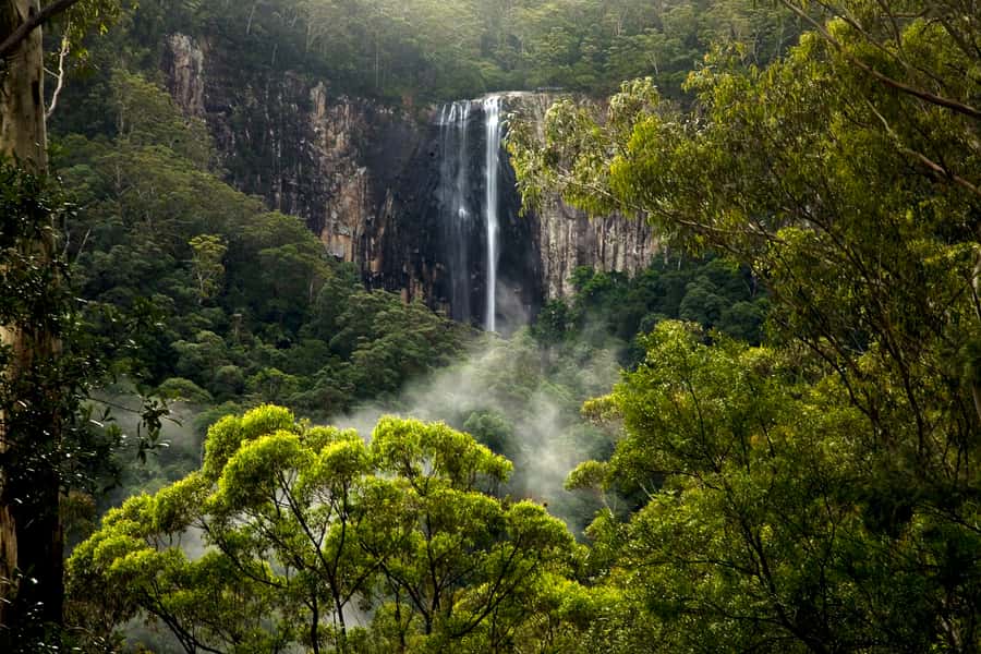 Byron Bay: Glowworms, Waterfalls & Rainforest Experience - A simple vegetarian dinner in the forest