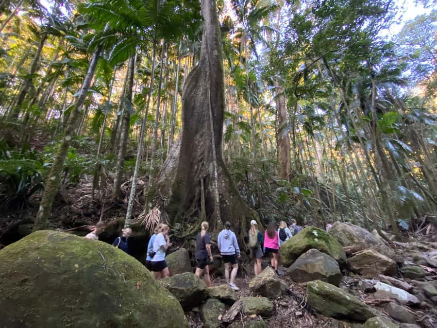 Byron Bay: Glowworms, Waterfalls & Rainforest Experience - What the secret stop feels like after dark