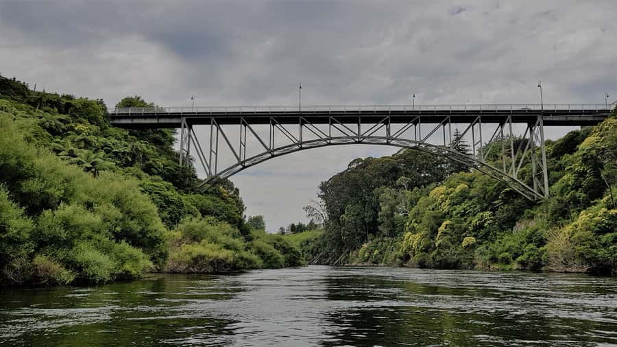 Cambridge, Matamata, Waitomo: 1-Hour Ecological River Cruise - A Waikato River trip with two personalities