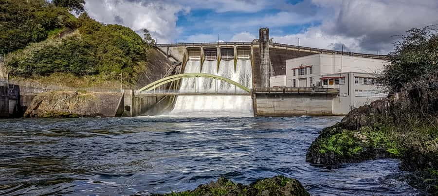 Cambridge, Matamata, Waitomo: 1-Hour Ecological River Cruise - Through the Cambridge Gorge