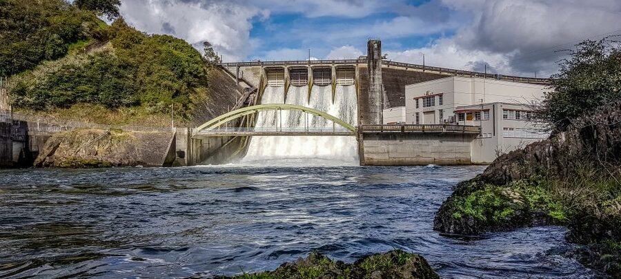 Cambridge, Matamata, Waitomo: 1-Hour Ecological River Cruise - Wildlife along the riverbanks