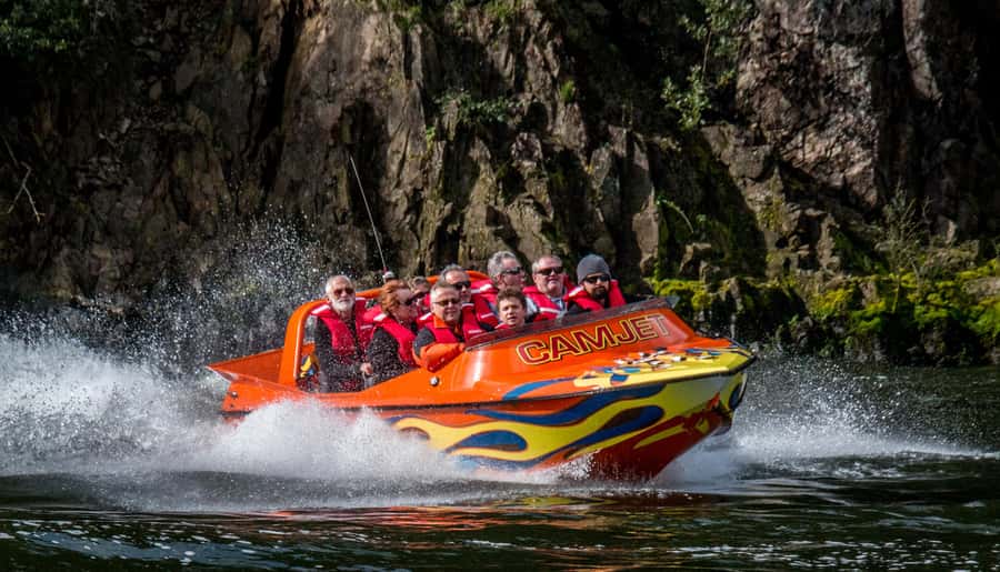 Cambridge, Matamata, Waitomo: 1-Hour Ecological River Cruise - Starting at Dominion Avenue in Cambridge