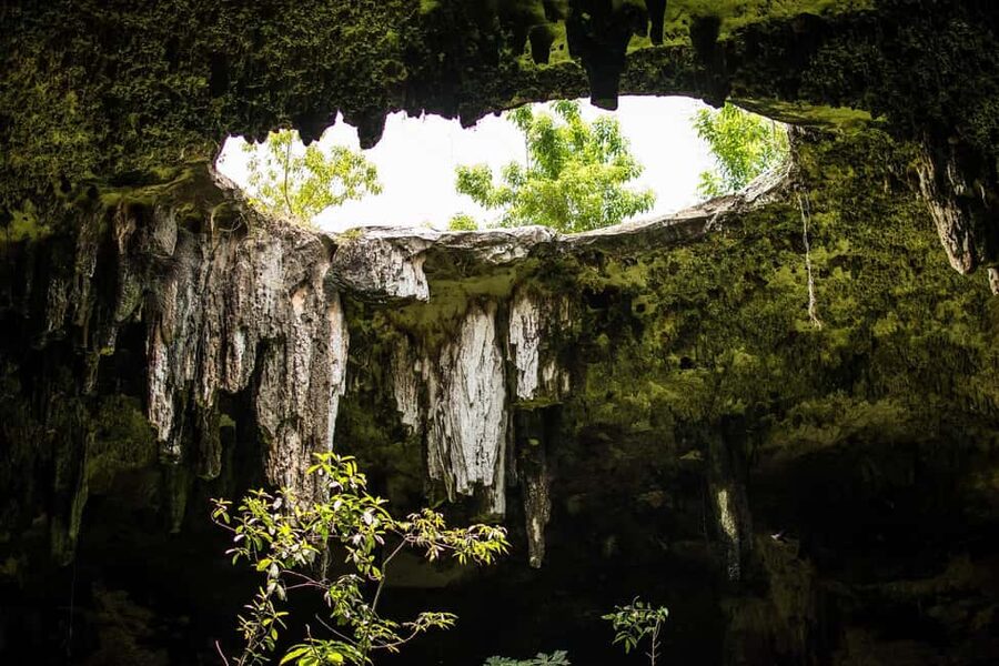 Cancun in its entirety: Chichen Itza ruins, cenote, and Valladolid - Lunch and tequila at the right point in the day