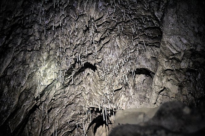 Canmore Caving Explorer Tour - What the price of $111.90 includes