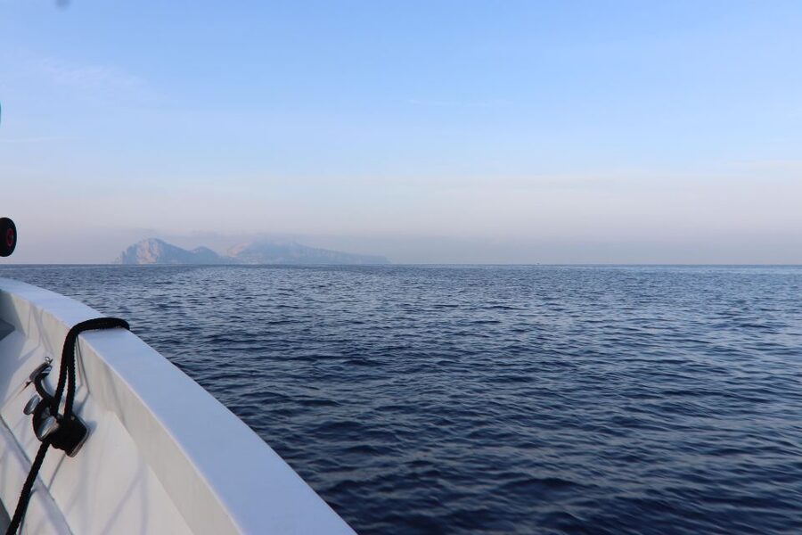 Capri and Anacapri tour: Faraglioni and Caves from Sorrento - What the guide adds to the day