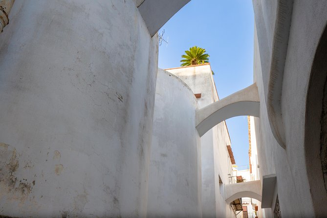 Capri and Blue Grotto Day Tour from Naples or Sorrento - Why Capri works best with a plan
