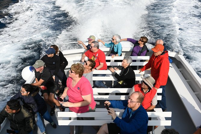 Capri Coast to Coast: Boat Tour with Optional Blue Grotto - The Blue Grotto: beautiful, costly, and unpredictable