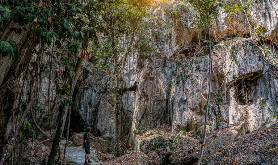 Capricorn Caves, Australia: 45-Minute Cathedral Cave Tour - Geology, wildlife, and the human story
