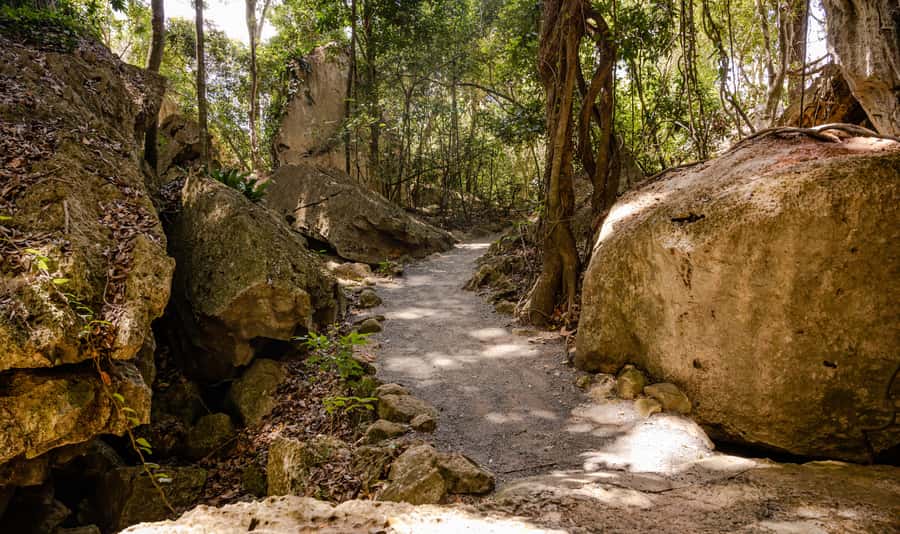 Capricorn Caves, Australia: 45-Minute Cathedral Cave Tour - The 45-minute route, from the entrance to the bridge