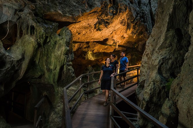 Capricorn Caves Cathedral Cave Tour - Why Cathedral Cave feels different from a standard cave tour