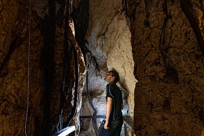 Capricorn Caves Cathedral Cave Tour - The Cathedral chamber and its remarkable sound