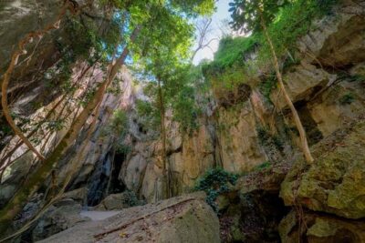Capricorn Caves Cathedral Cave Tour