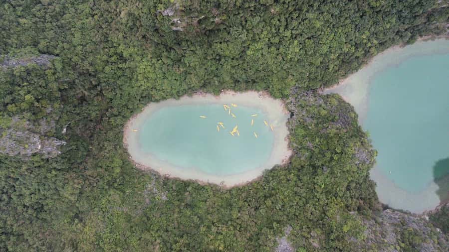 Cat Ba: Lan Ha and Ha Long Bay Boat Tour with Kayaking, Cave - Who should book this Lan Ha Bay day trip?