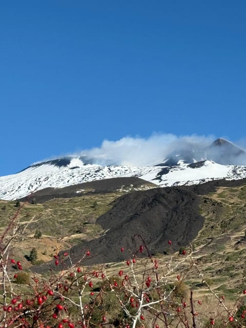 Catania: Morning Jeep Tour of Mount Etna and Lava Flow Caves - The Valle del Bove viewpoint