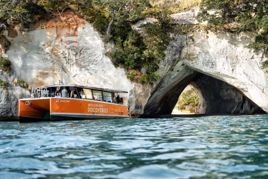 Cathedral Cove Coast and Cave Tour - Setting out from Whitianga Marina