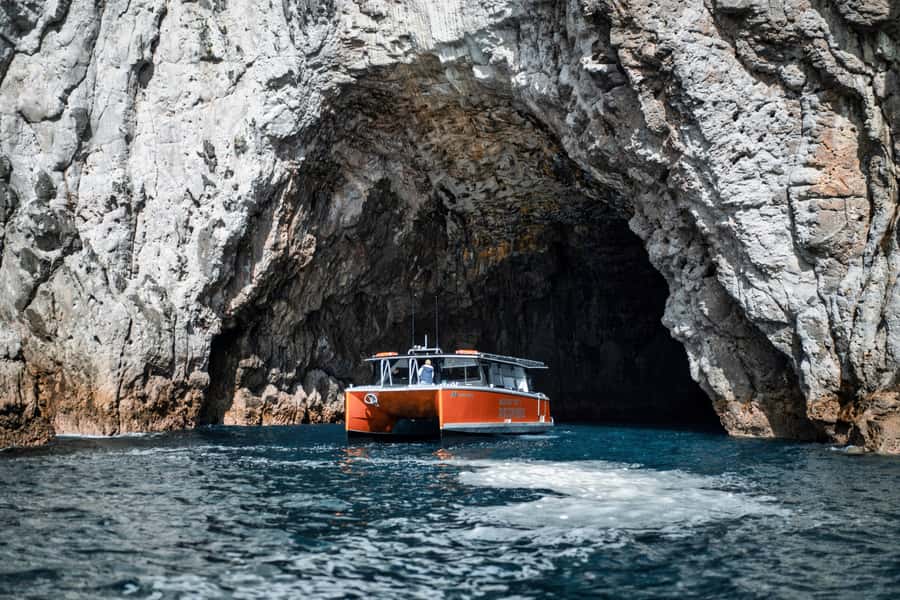 Cathedral Cove Coast and Cave Tour - Entering Orua Sea Cave