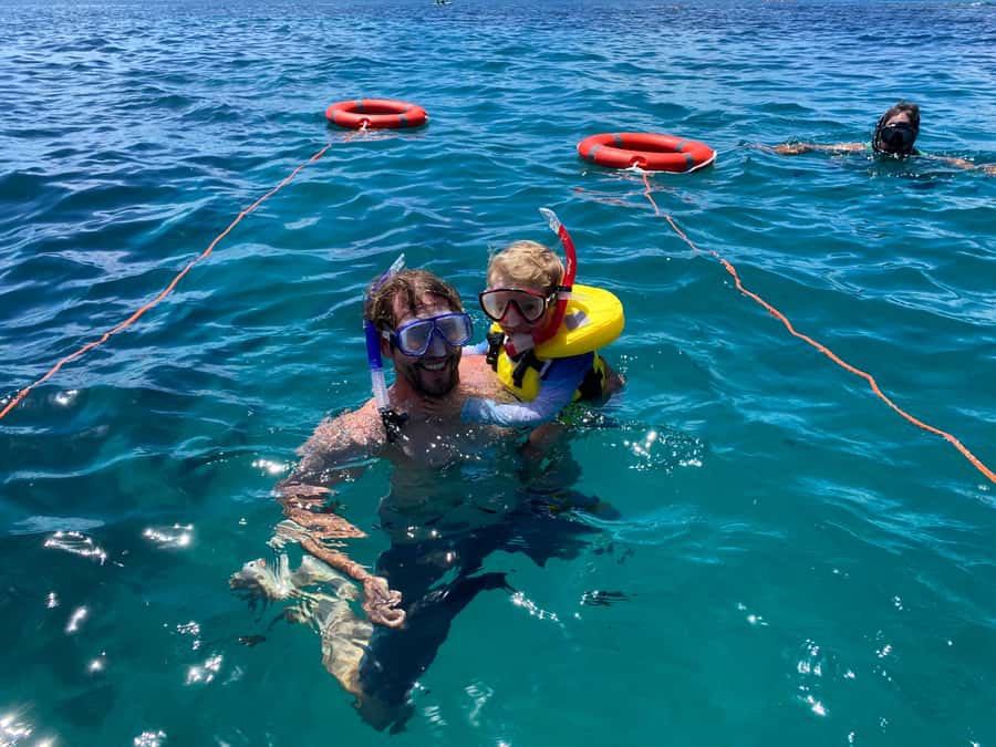 Cathedral Cove Coast and Cave Tour - Who will enjoy this Mercury Bay cruise