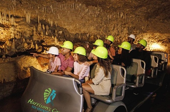 Cave & Monkey Zipline Experience at Harrison's Cave by Chukka - Five zipline runs with a careful crew