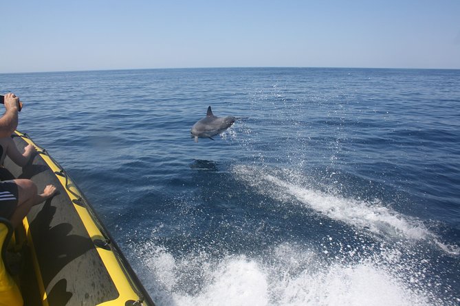 Caves and Dolphin Watching Cruise from Albufeira - Benagil Cave From the Water