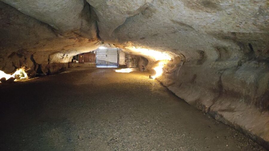 Caves prehistory of Esplugues Francolí with hotel pickup - Practical timing and what to expect