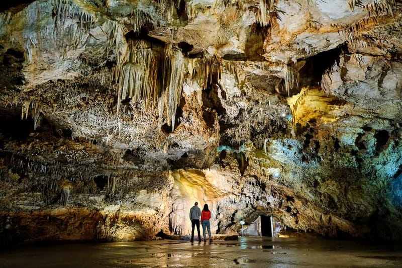 Cetinje: Lipa Cave Entrance Ticket with Guided Tour - The 600-meter route through halls and galleries