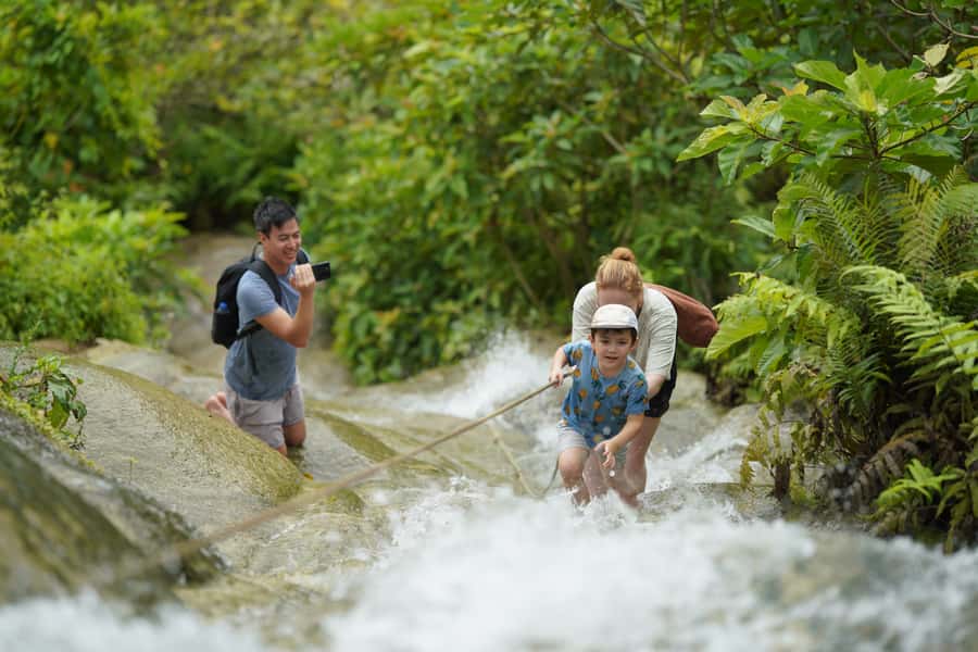 Chiang Mai: Bua Thong Sticky Waterfall & Huge Cave & Buffet - The day begins with a van ride from Chiang Mai