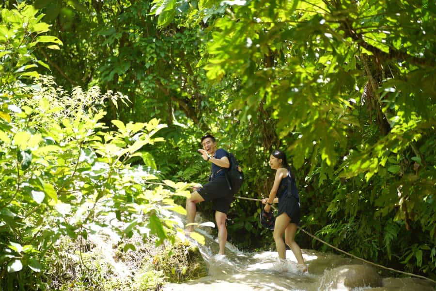 Chiang Mai: Bua Thong Sticky Waterfall & Huge Cave & Buffet - Climbing the 160-meter Sticky Waterfall