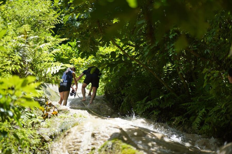 Chiang Mai: Bua Thong Sticky Waterfall & Huge Cave & Buffet - Nam Phu Chet Si, the seven-color fountain