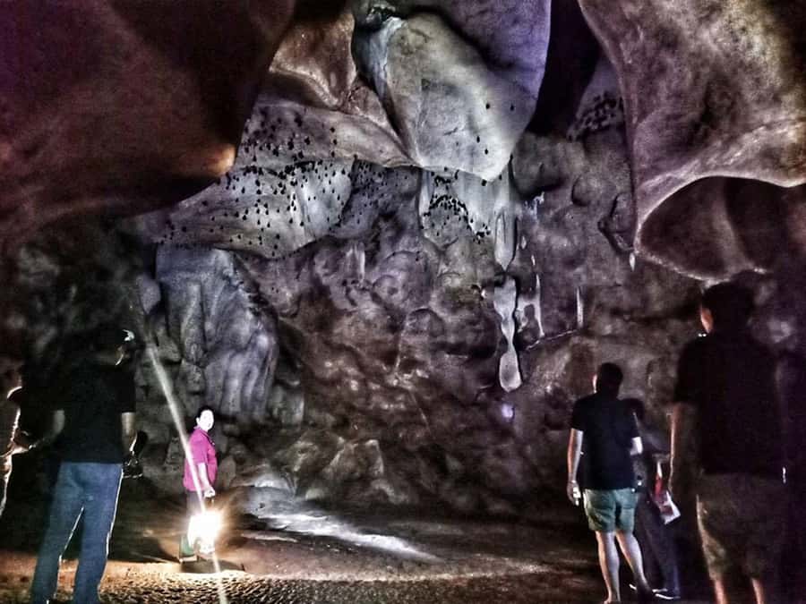 Chiang Mai: Full-Day Chiang Dao Caving & Jungle Kayaking - The guides make the day work