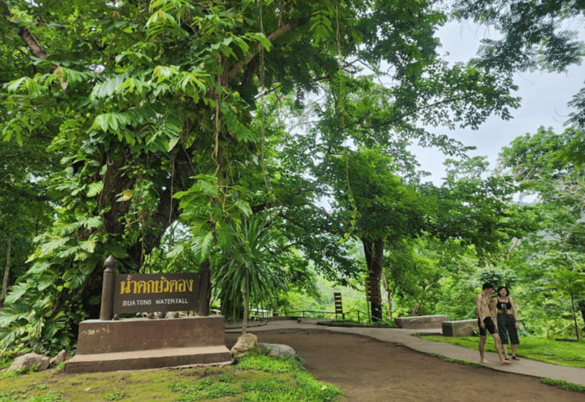 Chiang Mai: Sticky Waterfall, Bua Tong Cave Join Tour - Key points to know before booking