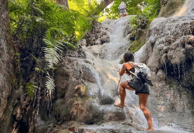Chiang Mai: Sticky Waterfall, Bua Tong Cave Join Tour - Climbing Chiang Mai’s unusual Sticky Waterfall