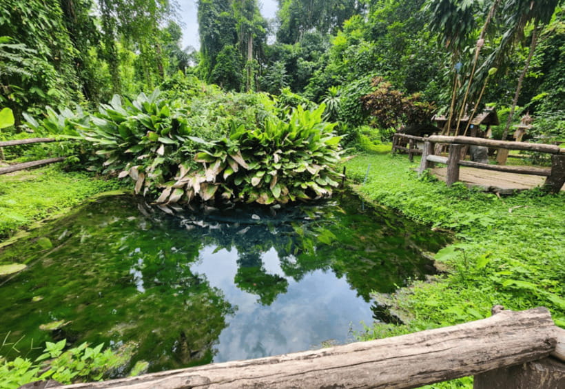 Chiang Mai: Sticky Waterfall, Bua Tong Cave Join Tour - What the private transfer really gives you