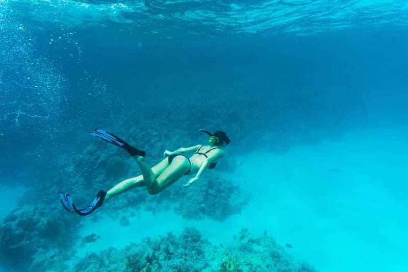 Comino: Blue Lagoon, Crystal Lagoon and Sea Caves Boat Tour - What the $31 price really includes