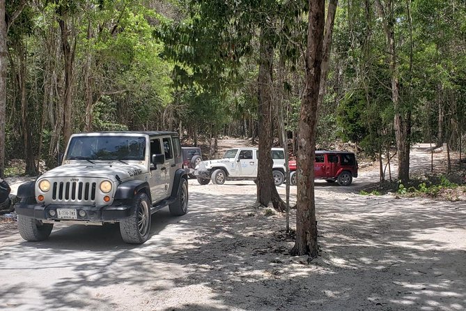 Cozumel Jeep Adventure to Jade Caverns with Lunch and Snorkel - Rancho Alejandra and the tequila lesson