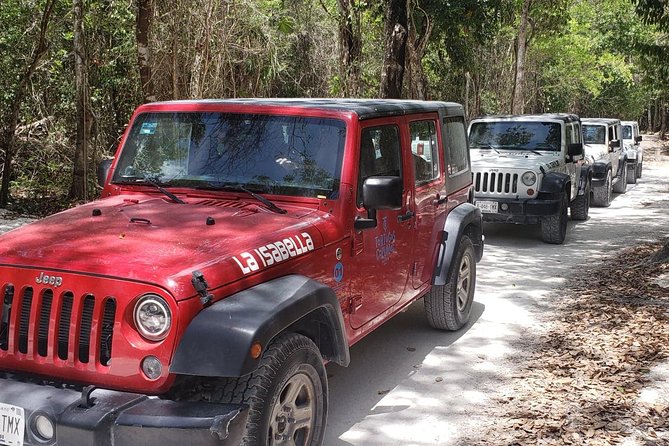 Cozumel Jeep Adventure to Jade Caverns with Lunch and Snorkel - Reaching Jade Caverns through the jungle