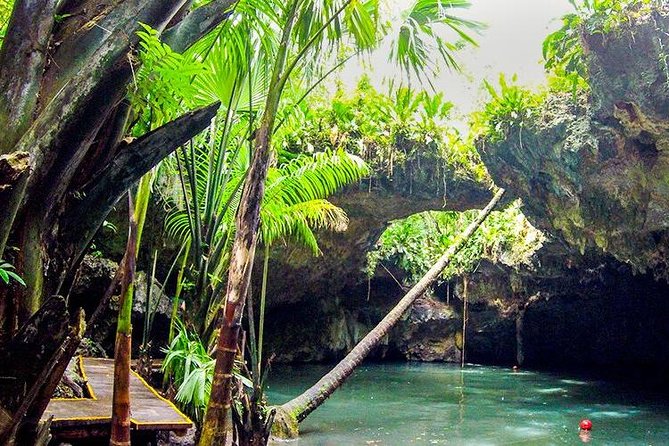 Cozumel Jeep Adventure to Jade Caverns with Lunch and Snorkel - Lunch, beach time, and snorkeling at Tortugas