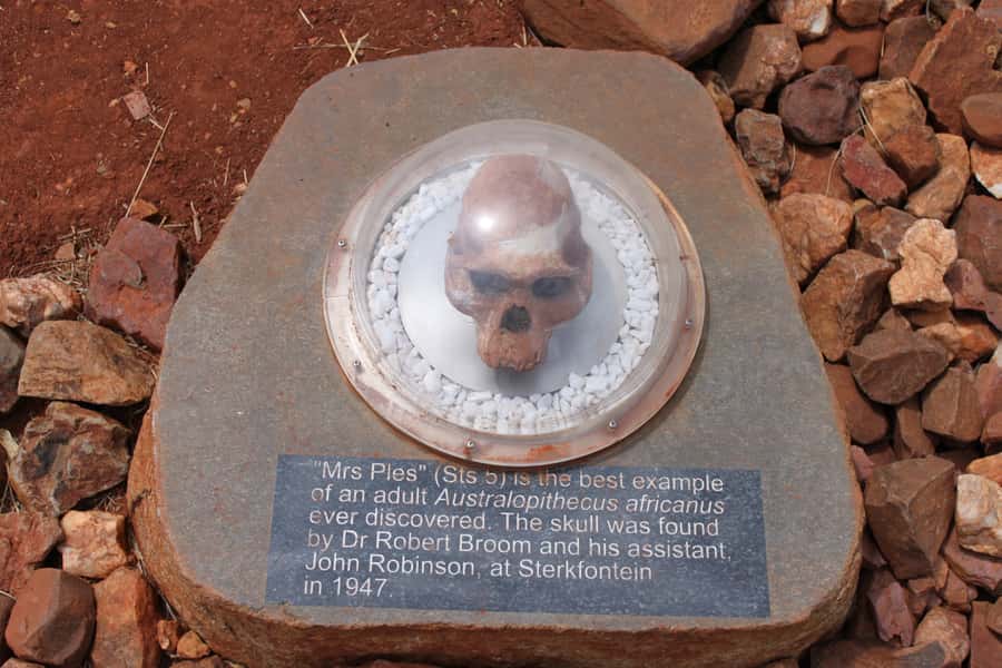 Cradle of Humankind and Sterkfontein Caves Half-Day Tour - Lunch and the Maropeng gift shop