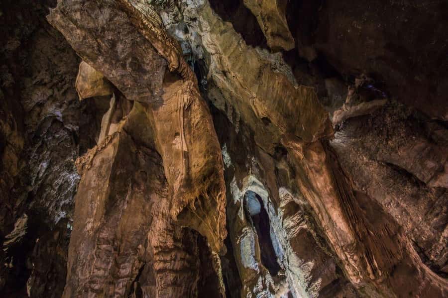 Cradle of Humankind and Sterkfontein Caves Half-Day Tour - Is $120 a fair price?