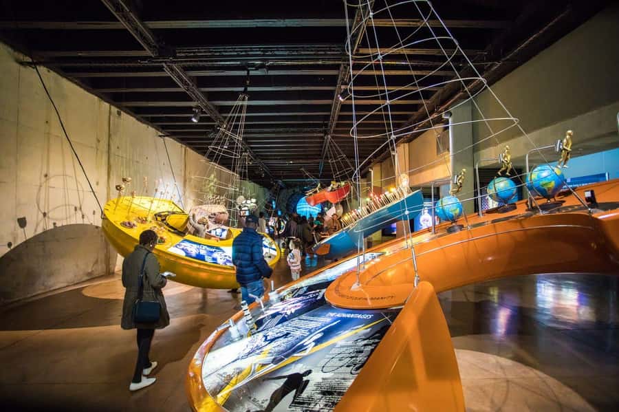 Cradle of Humankind and Sterkfontein Caves Half-Day Tour - Who should book this tour?