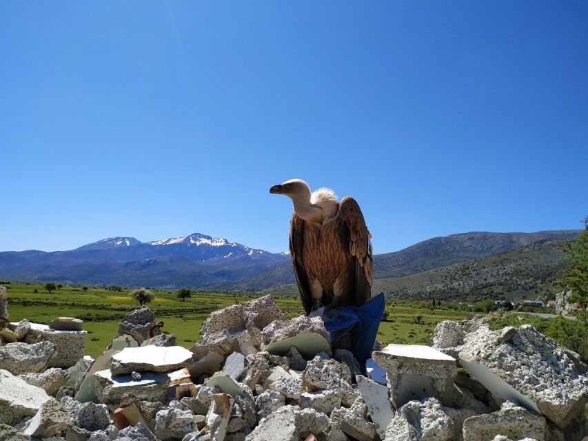 Crete: Lasithi Plateau and Cave of Zeus Off-Road Safari Tour - Seli Ambelou and the high mountain views