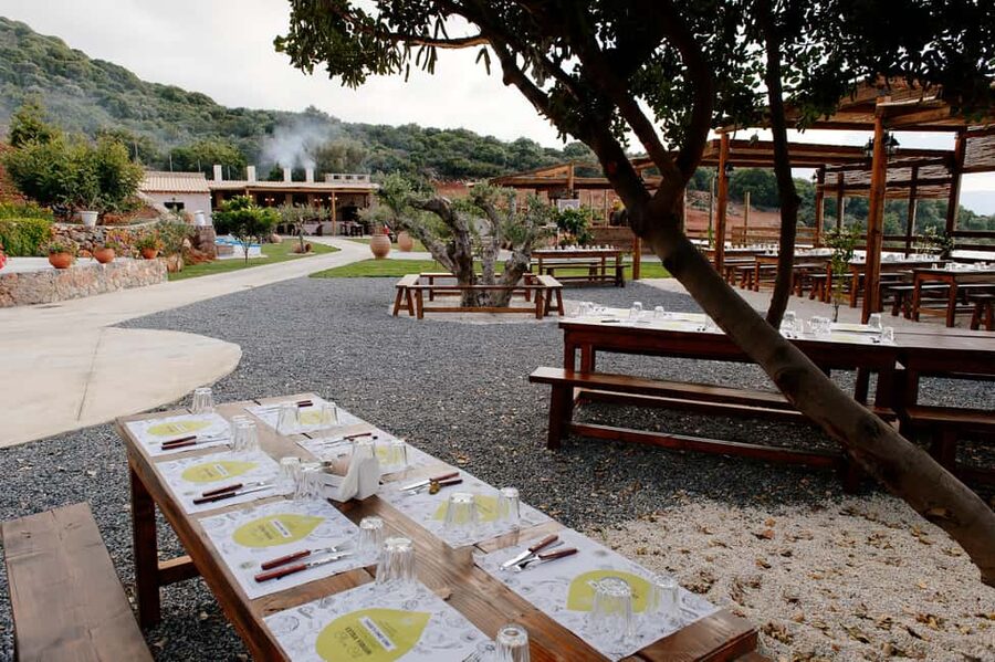 Crete: Road-trip to Lasithi, Zeus Cave & Olive Mill Farm - Krasi offers a short look at village Crete