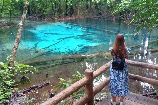 Discover Krabi - Emerald Pool, Hot Springs & Tiger Cave Temple - Emerald Pool: forest walking before the swim
