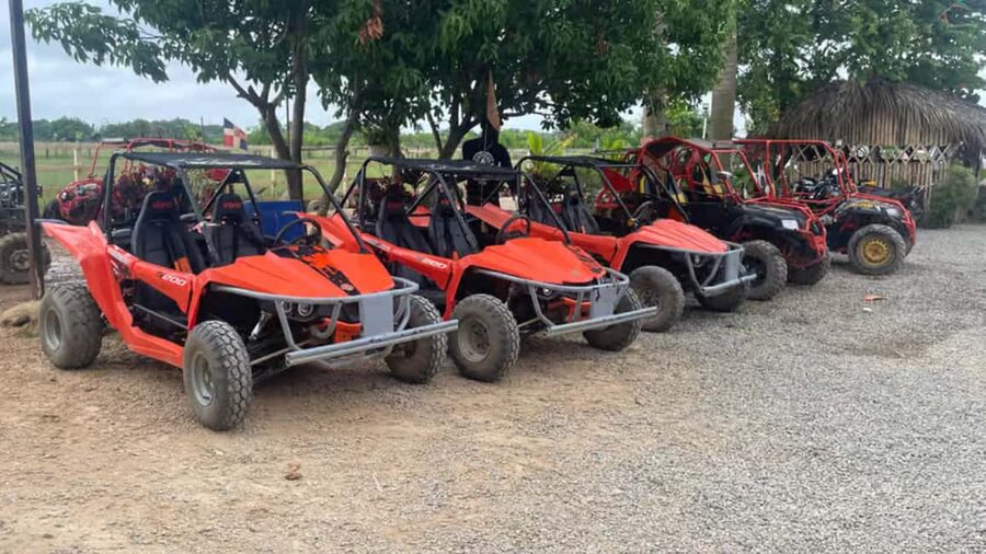 Discover Punta Cana Tour Buggy & ATV Tour Macao Beach Cenote - Booking and timing tips