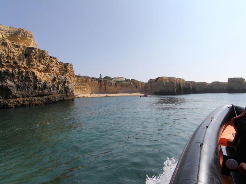 Dolphin Safari and Cave Tour in Vilamoura - Setting out from Vilamoura Marina